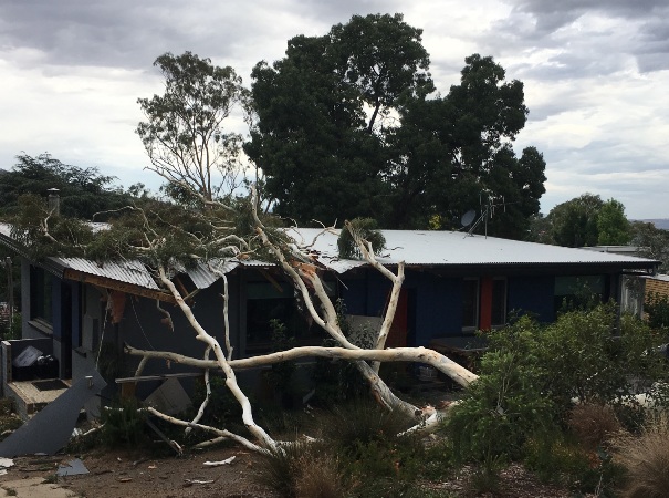 A home in O'Connor was damaged when a tree fell onto it during a storm this afternoon. 