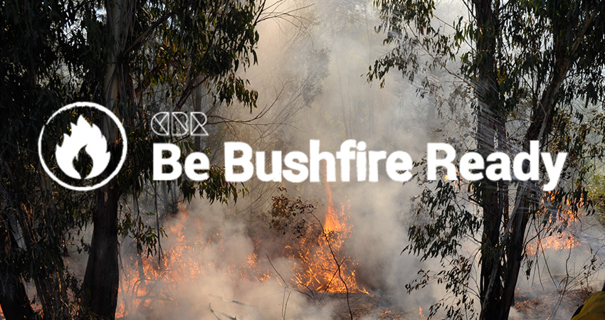 feature bushfire