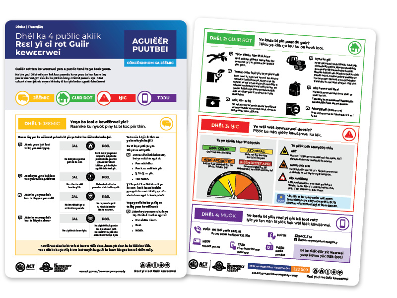 dinka discussion guide