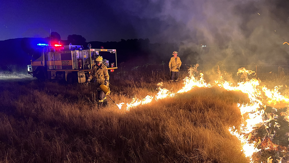 Firefighters conducting prescribed burn in the bush at night