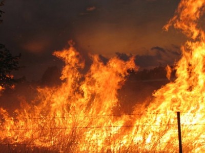 bushfire-flames-4